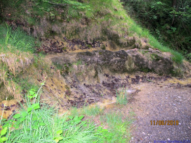 KAC Egg Grossdorf Abendwanderung 2019  4726